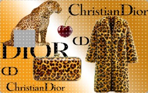 credit card- 559
